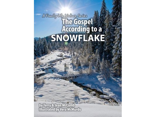 The Gospel According to a Snowflake