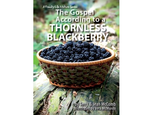 The Gospel According to a Blackberry