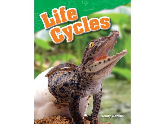 Life Cycles