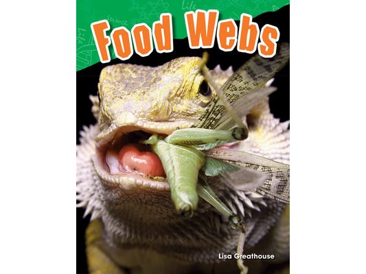 Food Webs