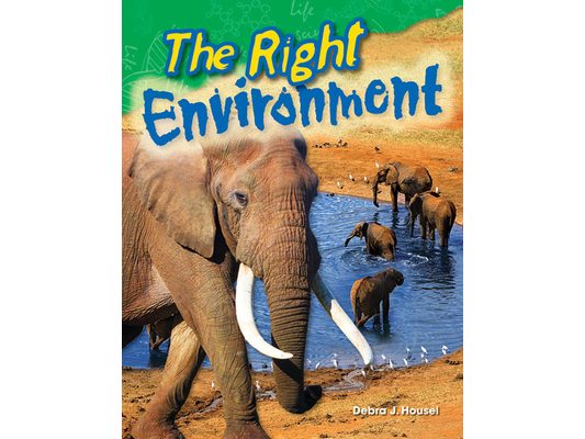 The Right Environment