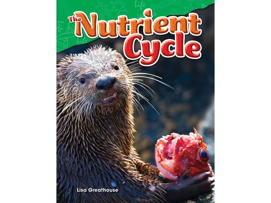 The Nutrient Cycle