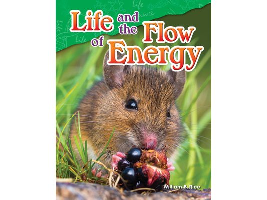 Life and the Flow of Energy