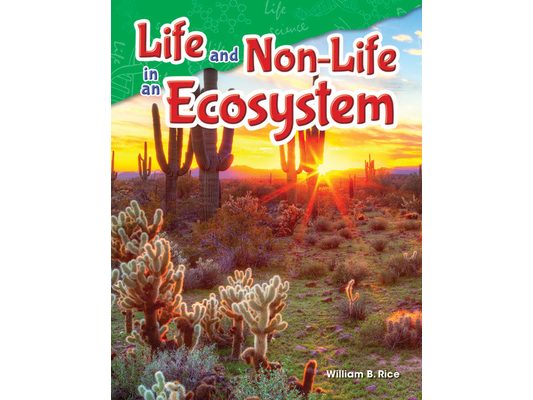 Life and Non-Life in an Ecosystem