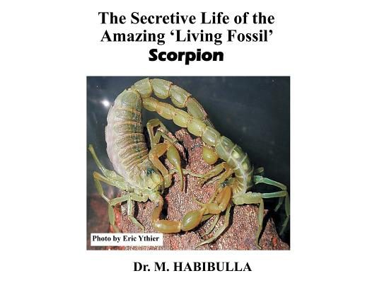 The Secretive Life of the Amazing 'Living Fossil' Scorpion