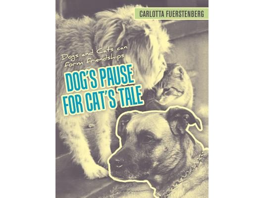 Dog's Pause for Cat's Tale: Dogs and Cats can form friendships