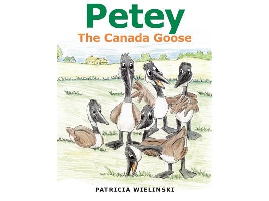 Petey: The Canada Goose