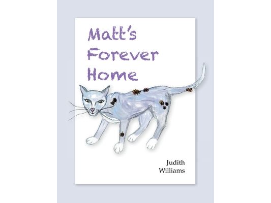 Matt's Forever Home