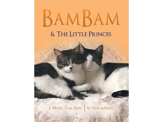 BamBam & The Little Princes: A Mostly True Story