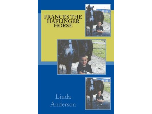 Frances the Haflinger horse