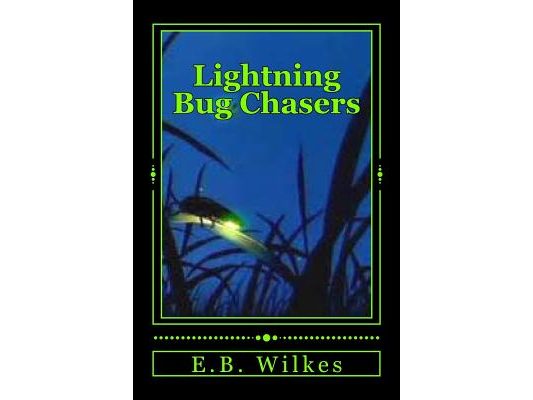Lightning Bug Chasers