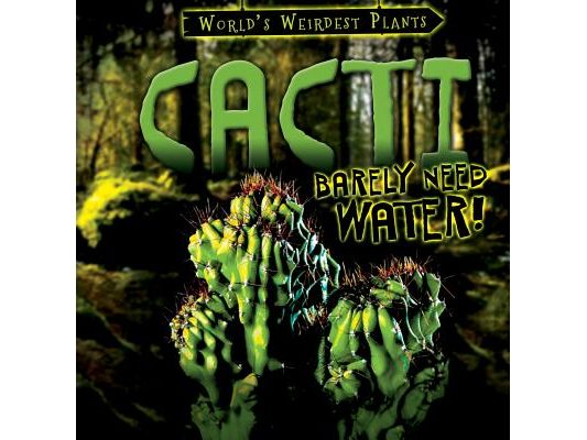 Cacti Barely Need Water!