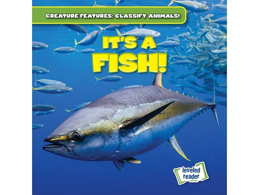 It's a Fish!