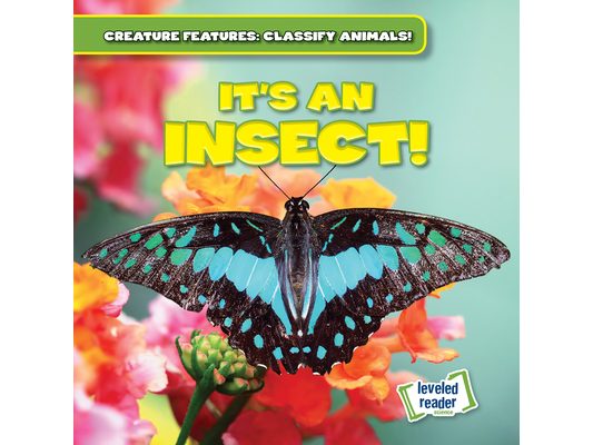 It's an Insect!