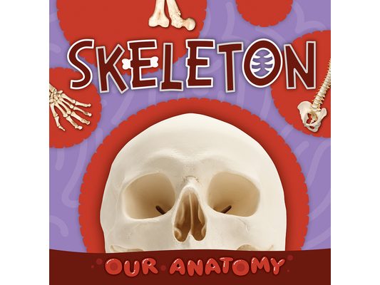 Skeleton