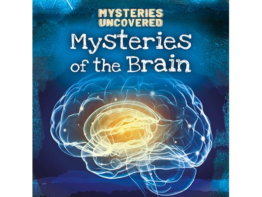 Mysteries of the Brain