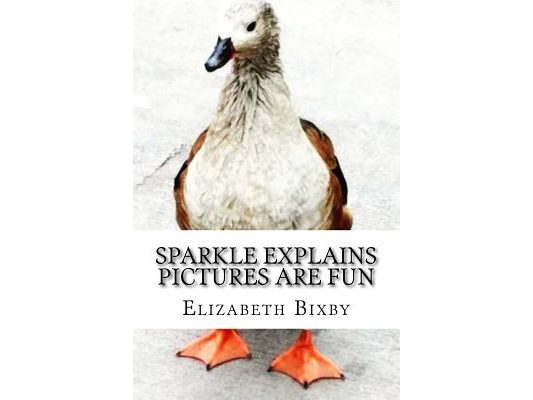 Sparkle Explains Pictures Are Fun