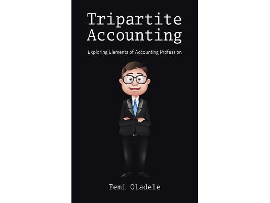Tripartite Accounting: Exploring Elements of Accounting Profession