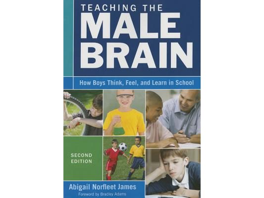 Teaching the Male Brain: How Boys Think, Feel, and Learn in School