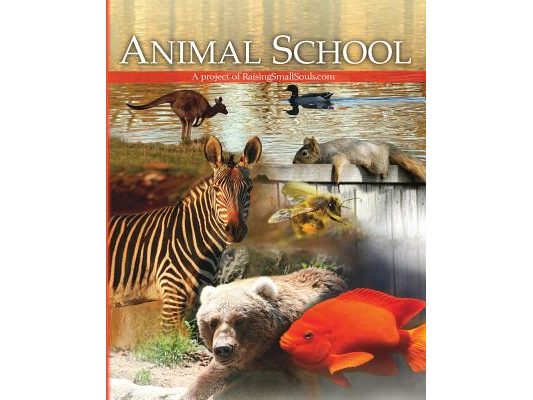Animal School