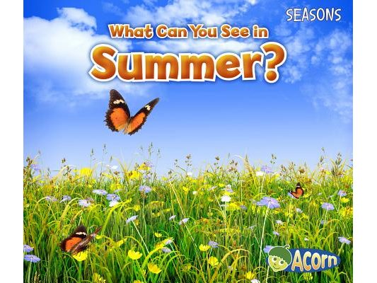 What Can You See in Summer?