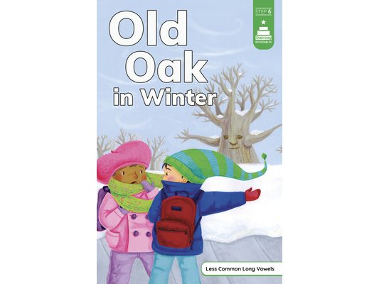 Old Oak in Winter