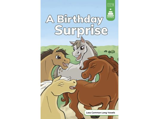 A Birthday Surprise