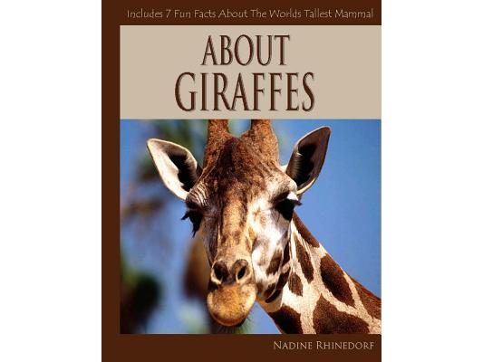 About Giraffes