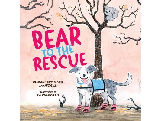 Bear to the Rescue