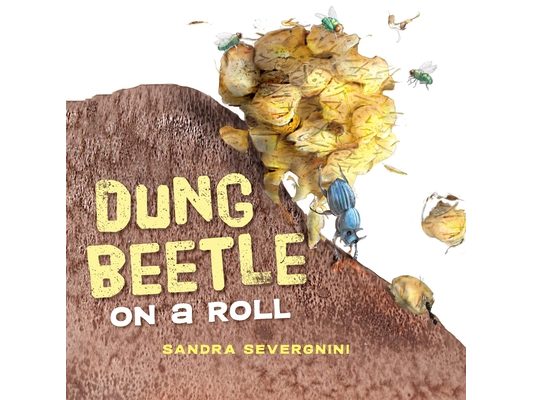 Dung Beetle on a Roll