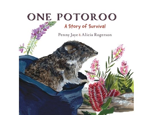 One Potoroo