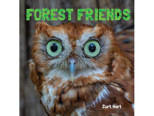 Forest Friends