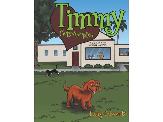 Timmy Gets Adopted