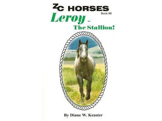 Leroy-The Stallion