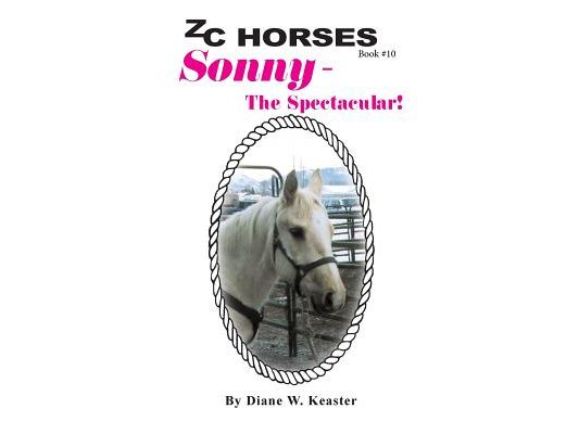 Sonny-The Spectacular