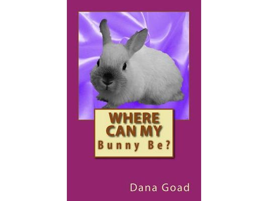 Where Can My Bunny Be?