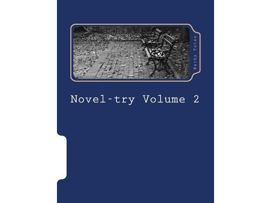 Novel-try Volume 2: Teens' Guide to Writig Your First Best-Selling Novel: The Mystery Novel