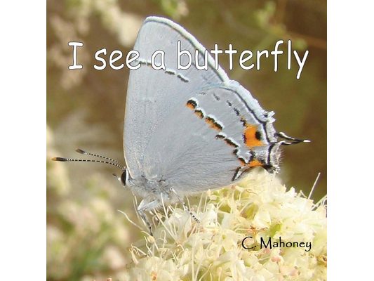 I see a butterfly: at the Rancho Santa Ana Botanical Gardens