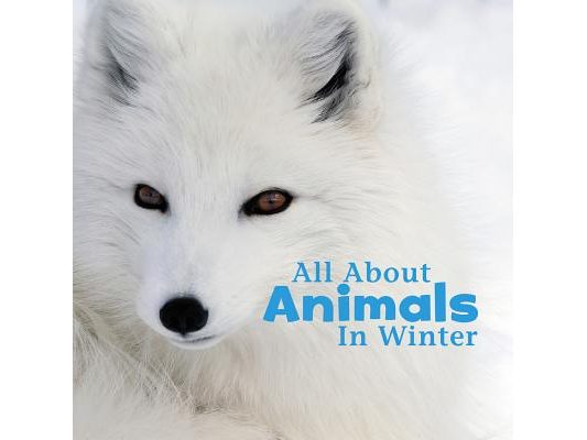 All about Animals in Winter