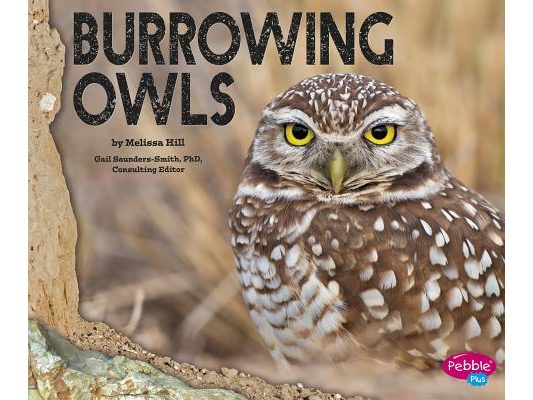 Burrowing Owls