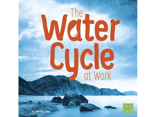 The Water Cycle at Work