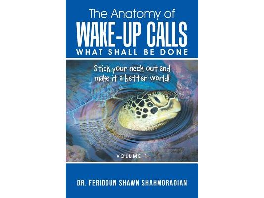 The Anatomy of Wake-up Calls Volume 1: What Shall Be Done