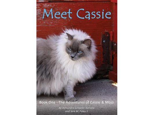 Meet Cassie