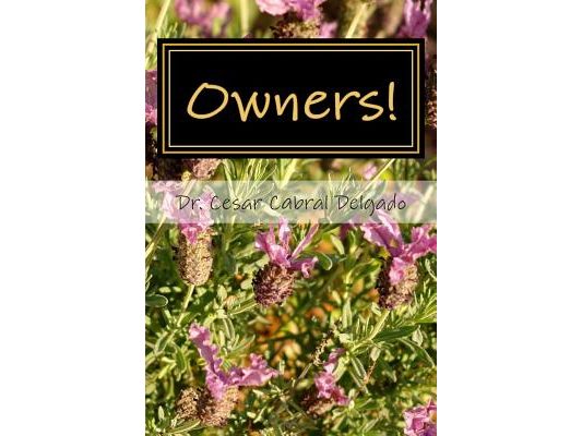 Owner!: A guide for developing personal responsibility, real happiness and democratic living skills in our modern complex worl