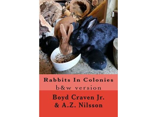 Rabbits In Colonies: Grayscale
