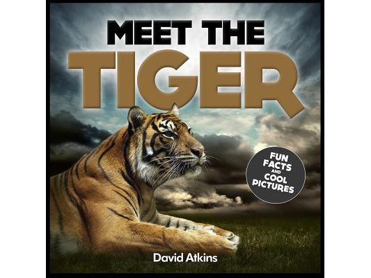 Meet The Tiger: Fun Facts & Cool Pictures