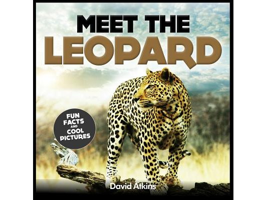 Meet The Leopard: Fun Facts & Cool Pictures