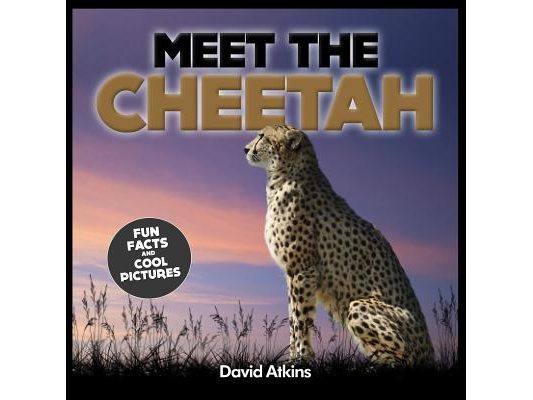 Meet The Cheetah: Fun Facts & Cool Pictures