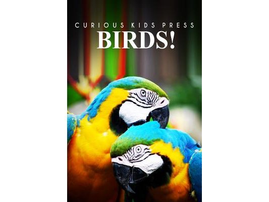 Birds! - Curious Kids Pess: (Picture book, Children's book about animals, Animal books for kids 5-7)
