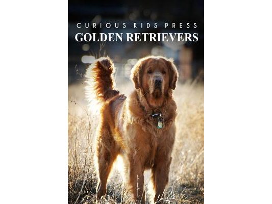 Golden Retrievers - Curious Kids Press: Kids book about animals and wildlife, Children's books 4-6